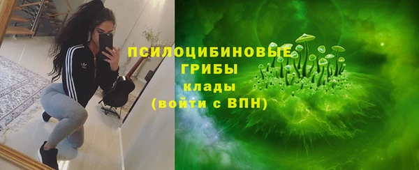 прущие крисы Нефтекумск