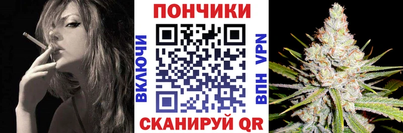 Каннабис индика  Заволжск 
